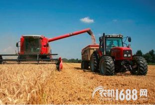 山东多举措促农机装备研发创新 大蒜播种机纳入农机新产品补贴