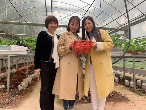 研发推广中心开创了草莓食用菌套种技术,与地方企业共建农业产业技术