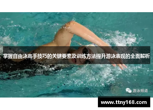 掌握自由泳高手技巧的关键要素及训练方法提升游泳表现的全面解析